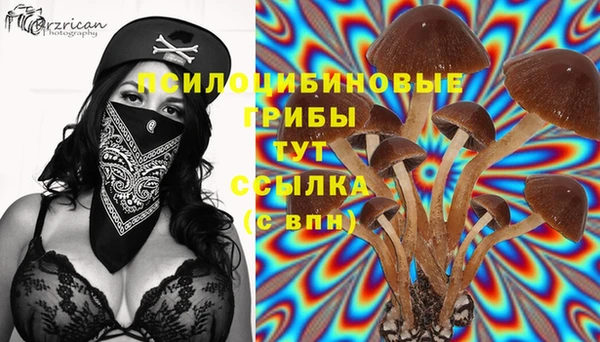 альфа пвп Володарск