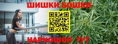 мдпв Бийск