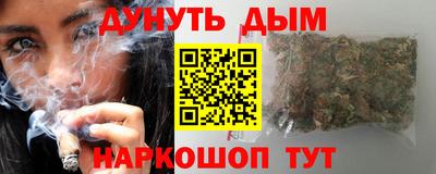 мдпв Бийск