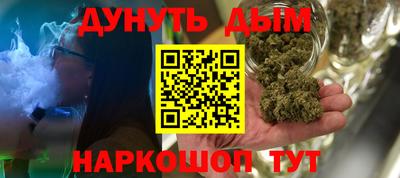 мдпв Бийск